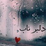 دانلود آهنگ دلبر بیا یار من ای بغض نم دار من