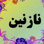 دانلود آهنگ نازنین ناز نکن