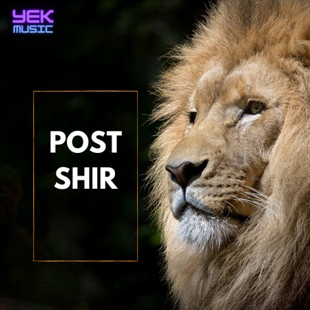 آهنگ پوست شیر