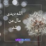 دانلود آهنگ الله دیدی مال من شد