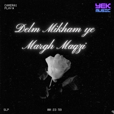 Delm Mikhad Ye Margh Maqzi
