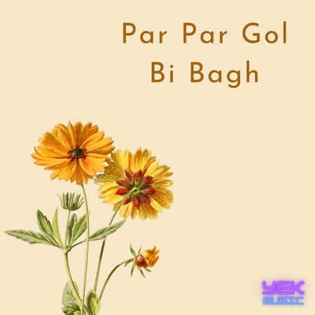 پر پر بی گل باغ رنگین