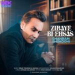 دانلود آهنگ شهرام شکوهی زیبای بی احساس