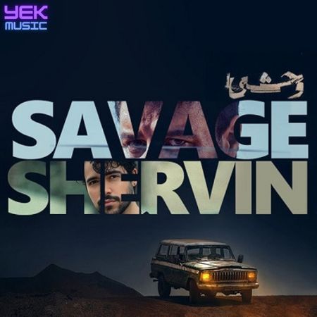 وحشی شروین حاجی پور