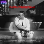 دانلود آهنگ ناصر زینعلی نوازش