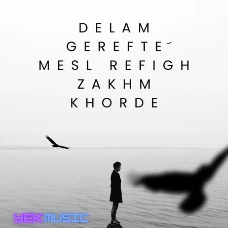 دلم گرفته مثل رفیق زخم خورده