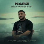 دانلود آهنگ رضا کرمی تارا نبض