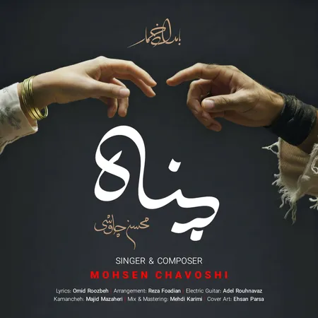 محسن چاوشی پناه