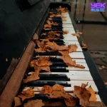 دانلود آهنگ دواره اول پاییز هات دلتنگی او چشمات دانلود آهنگ دواره اول پاییز هات دلتنگی او چشمات