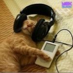 دانلود آهنگ همه زندگیمو یه روز کتابش میکنم دانلود آهنگ همه زندگیمو یه روز کتابش میکنم