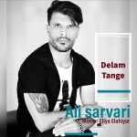 دانلود آهنگ علی سروری دلم تنگه دانلود آهنگ علی سروری دلم تنگه