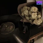 دانلود آهنگ بو میاد بوی گل و آهنگ همه خوابن دانلود آهنگ بو میاد بوی گل و آهنگ همه خوابن