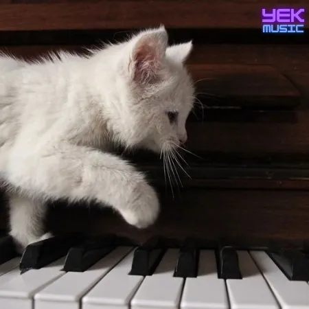 به دادم برس که حالم بد با صدای زن